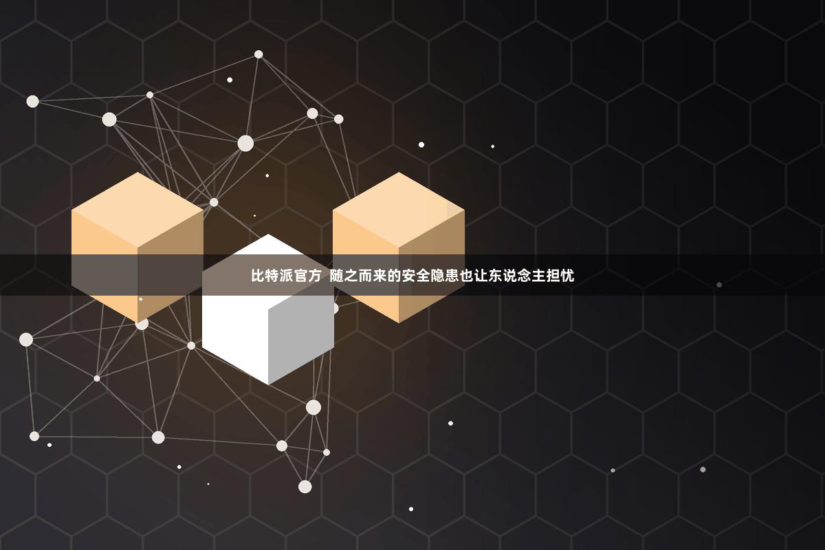 比特派官方  随之而来的安全隐患也让东说念主担忧